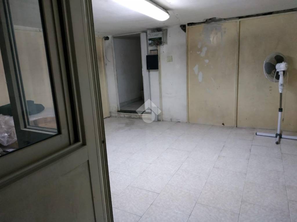 immagine annuncio 5 di 14