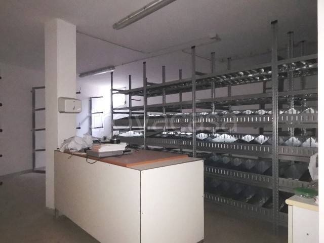 immagine annuncio 7 di 14
