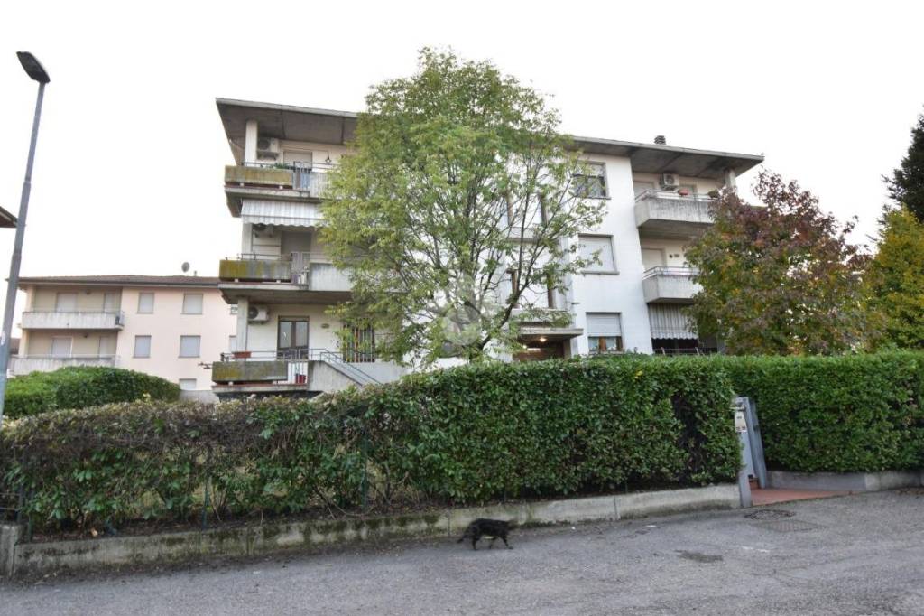 Appartamento in vendita a Felino via Santi Ferdinando, 15