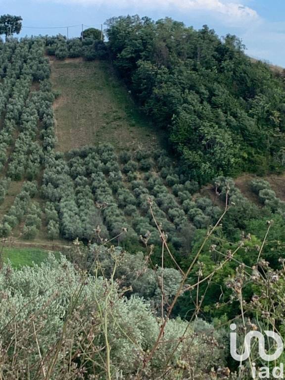 Terreno Agricolo in vendita a Tortoreto via settecolli