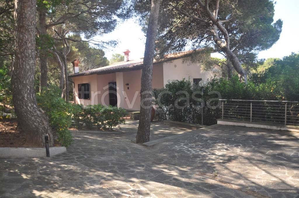 Villa in vendita a Rosignano Marittimo via dei gerani