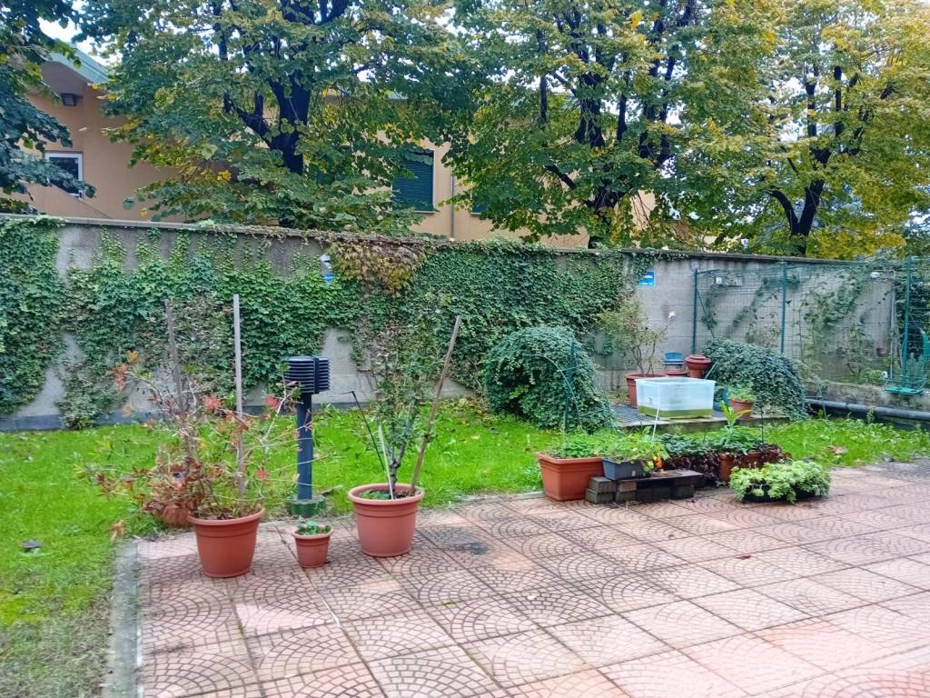 immagine annuncio 5 di 15
