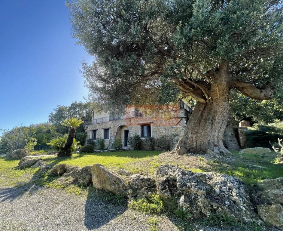 Villa Bifamiliare in vendita ad Albenga sp3