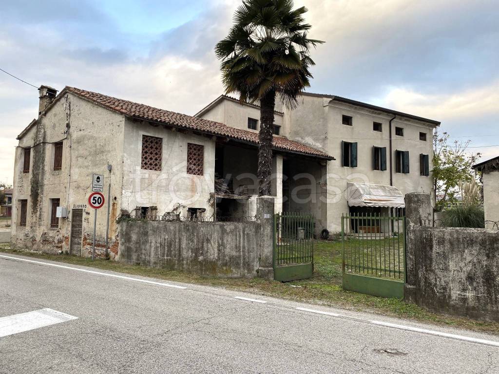 Villa Bifamiliare in vendita a Fontaniva