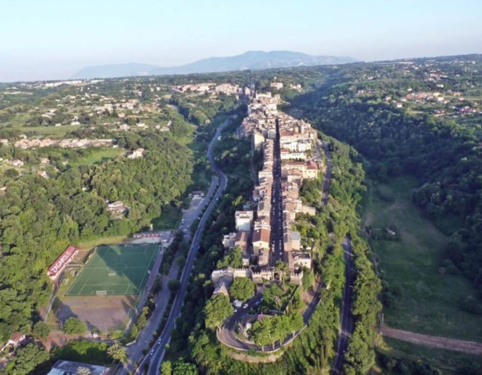 immagine annuncio 12 di 13