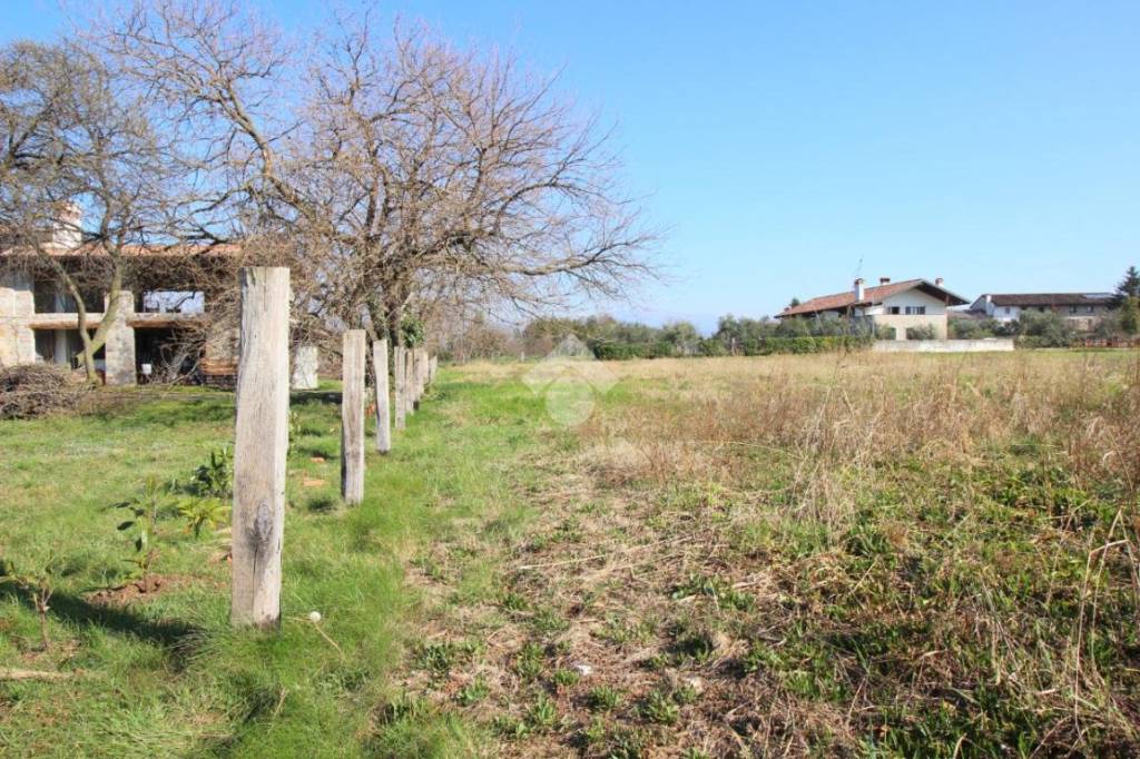 immagine annuncio 8 di 9