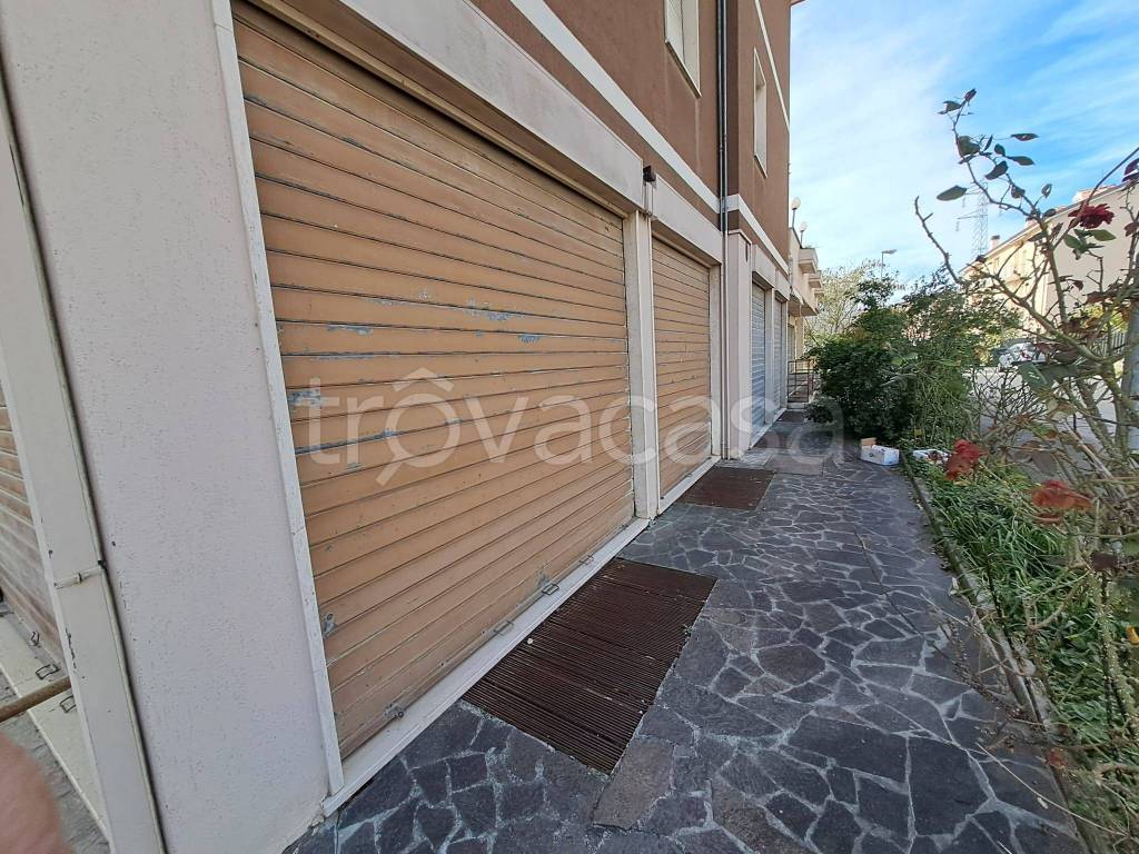 immagine annuncio 2 di 14