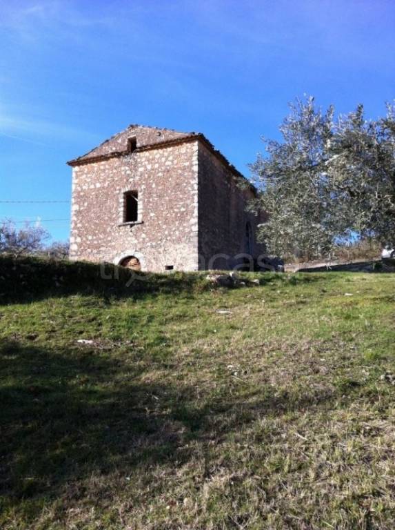 immagine annuncio 3 di 12