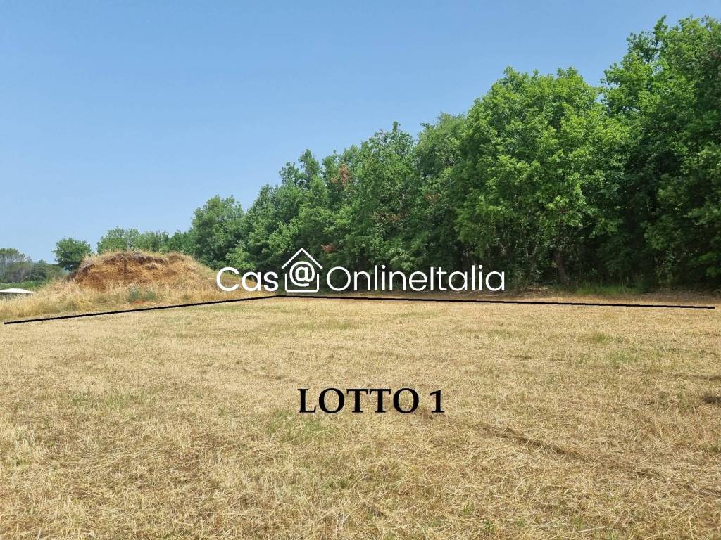 immagine annuncio 5 di 10