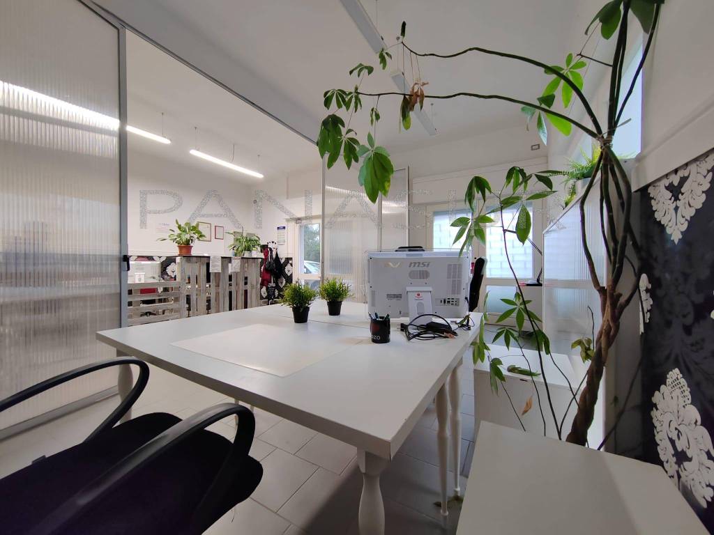 immagine annuncio 3 di 12