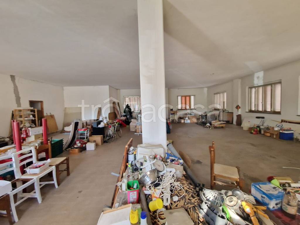 immagine annuncio 4 di 6