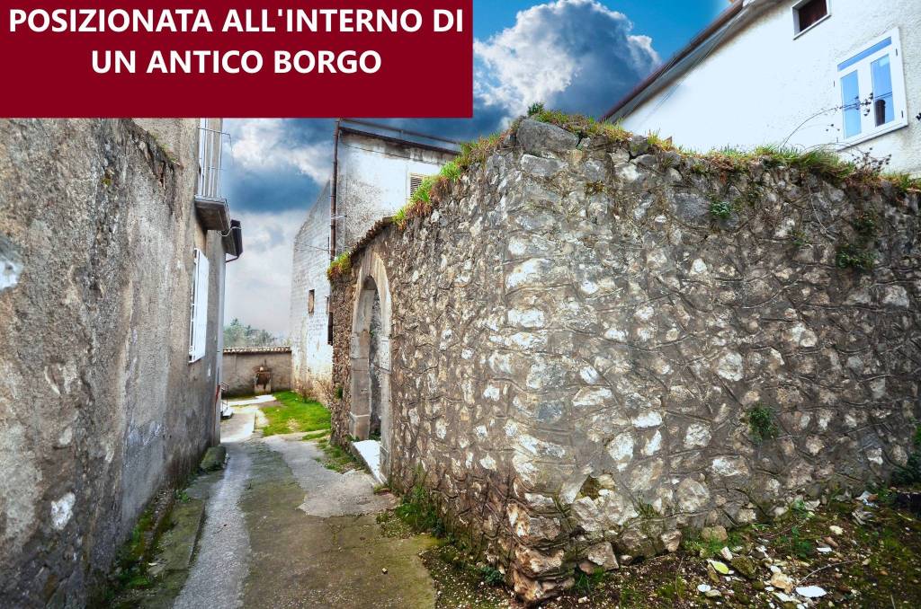 immagine annuncio 2 di 11