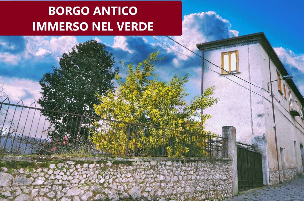 immagine annuncio 7 di 11