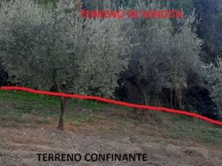 Terreno agricolo in vendita ad archi quercia del santissimo