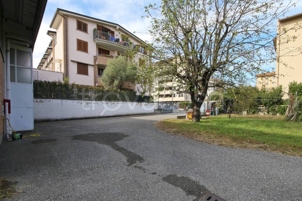immagine annuncio 9 di 12