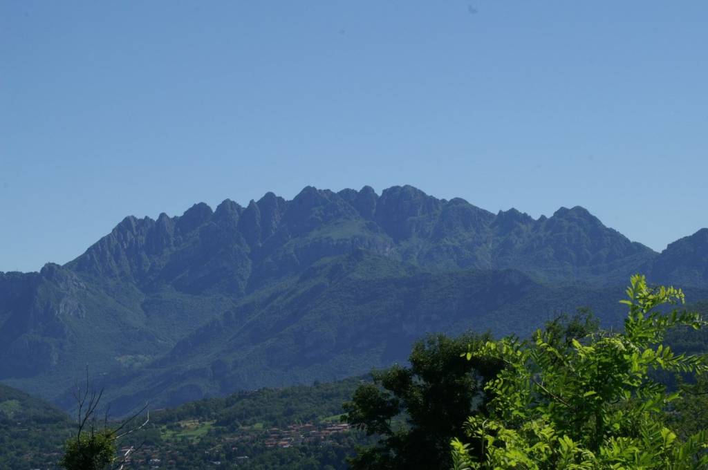 immagine annuncio 4 di 6