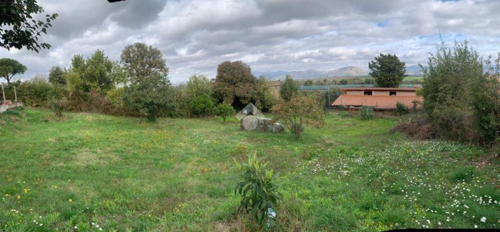 immagine annuncio 7 di 11