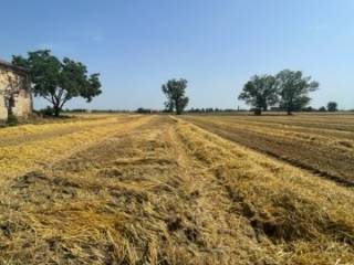 Terreno agricolo in vendita a castelnuovo rangone via del tiepido