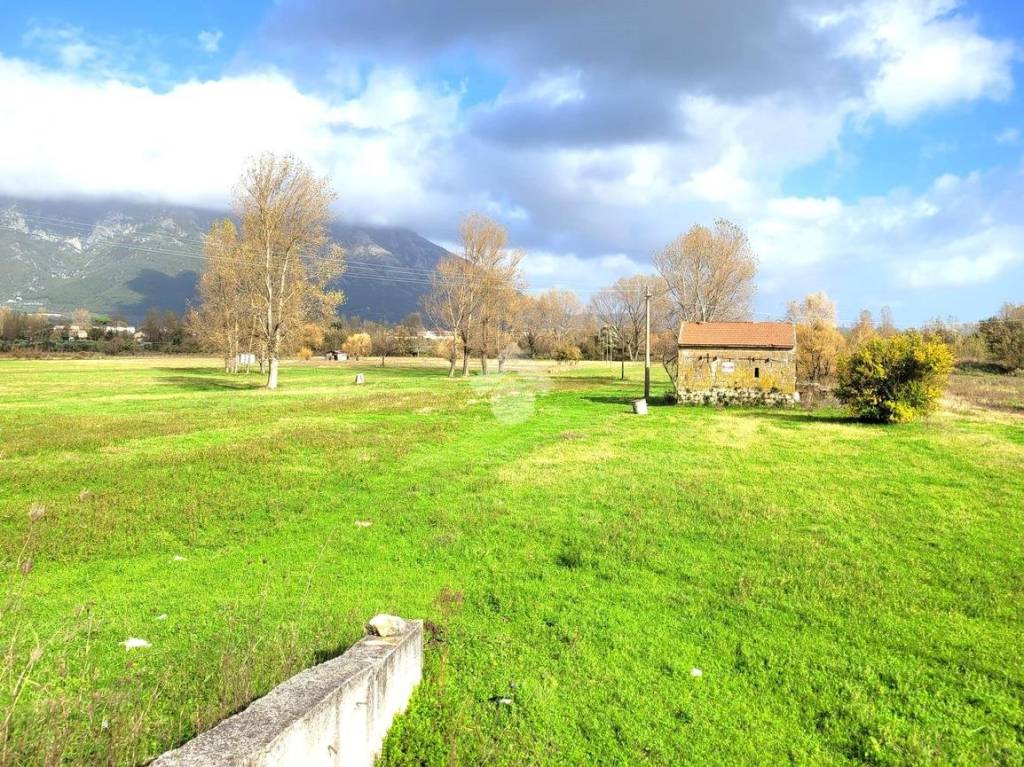 immagine annuncio 3 di 11