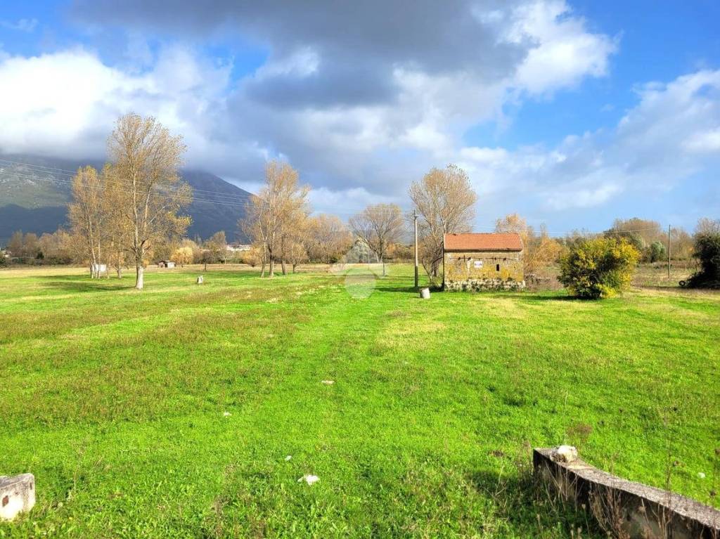 immagine annuncio 6 di 11