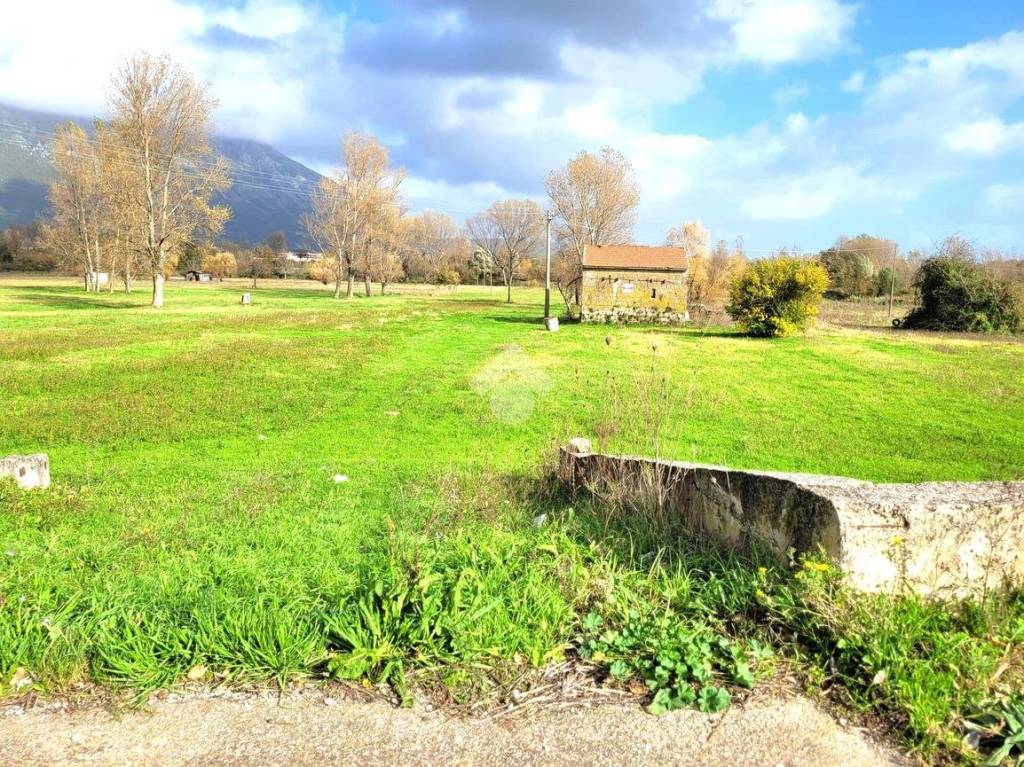 immagine annuncio 7 di 11