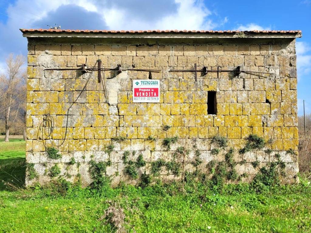 immagine annuncio 2 di 11