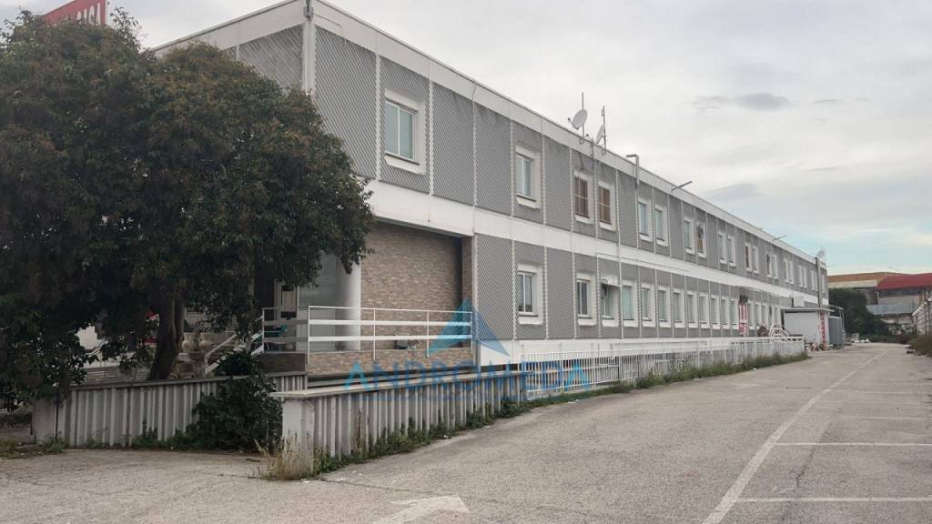 Capannone Industriale in affitto a Casoria via Ischia