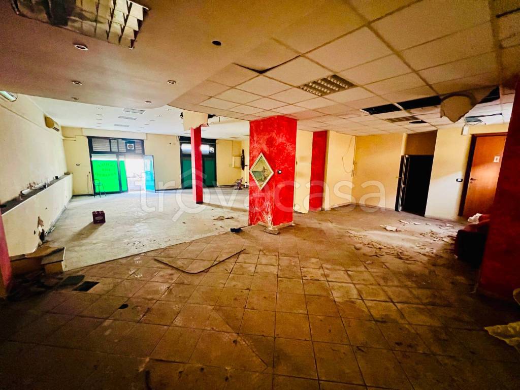 immagine annuncio 3 di 6