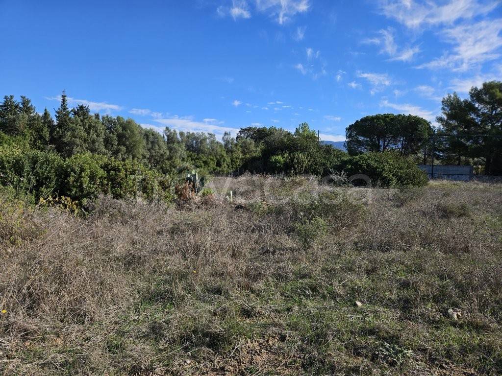 immagine annuncio 6 di 8
