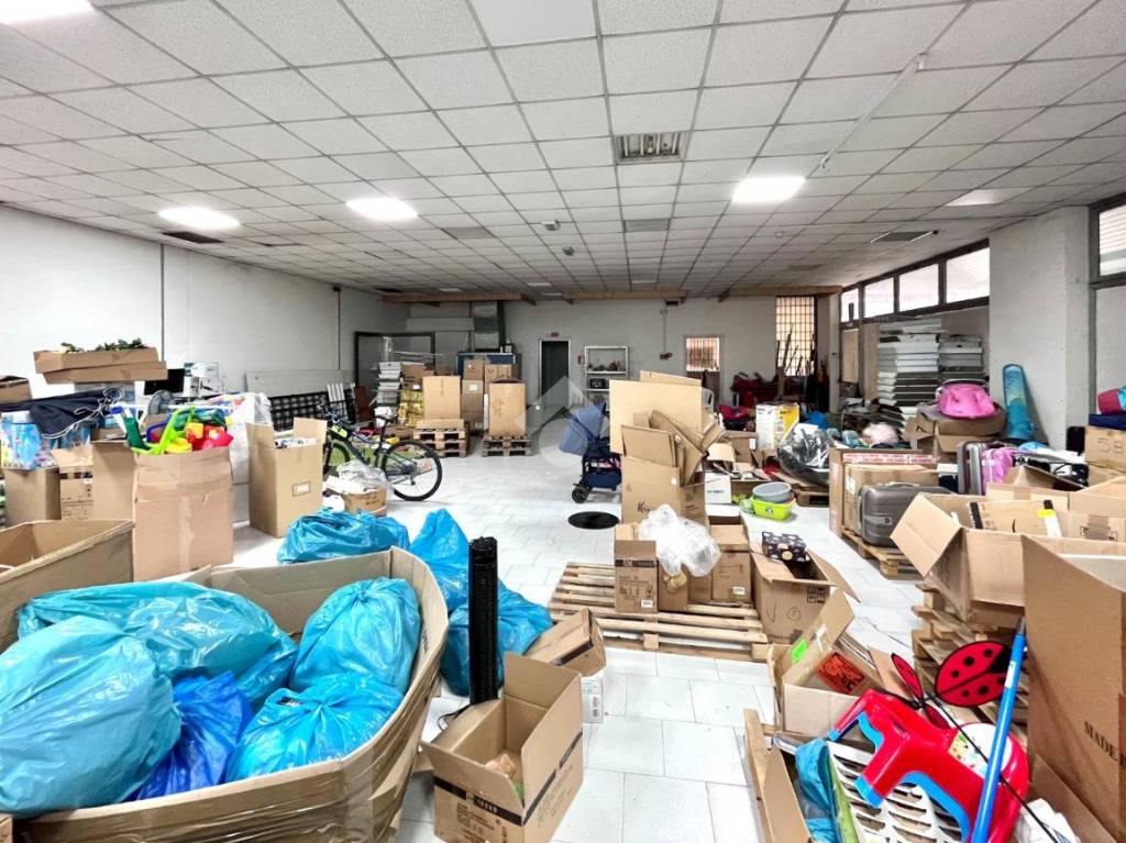 immagine annuncio 7 di 15