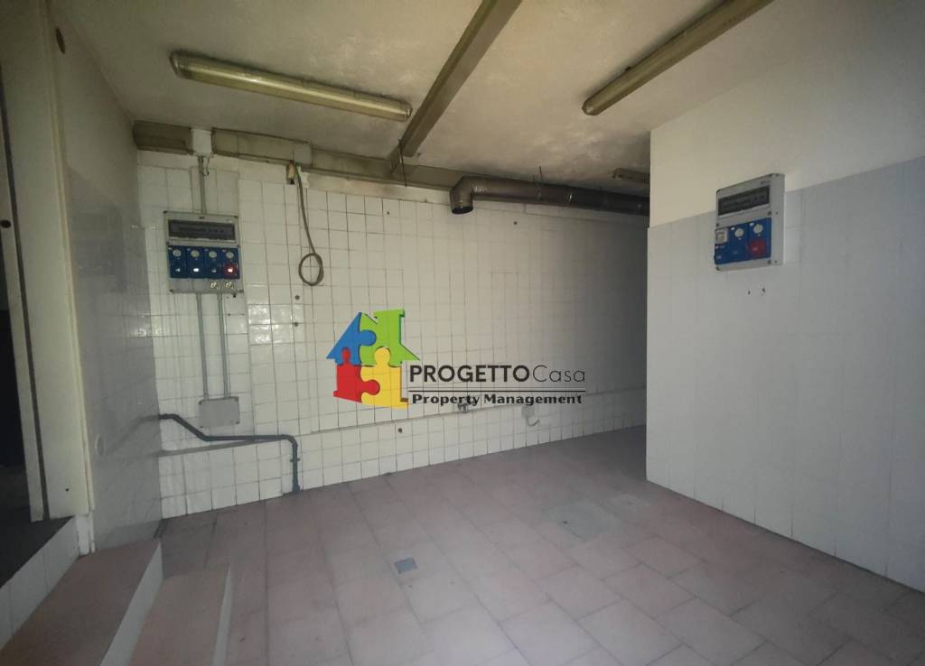 immagine annuncio 5 di 14