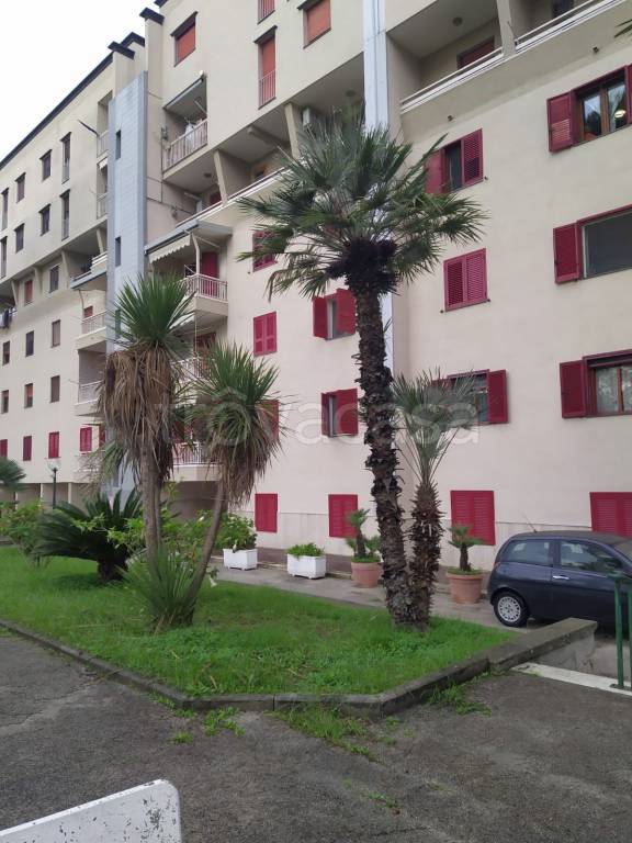 Appartamento in in vendita da privato a Frattamaggiore via Siepe Nuova, 65