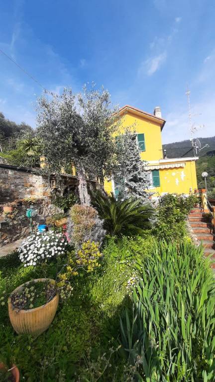 Villa Bifamiliare in vendita a Recco località Cotulo