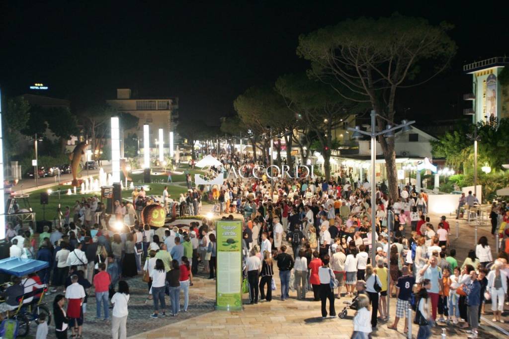 immagine annuncio 8 di 14