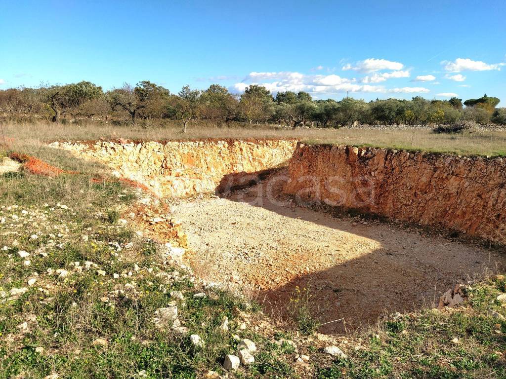 immagine annuncio 1 di 8