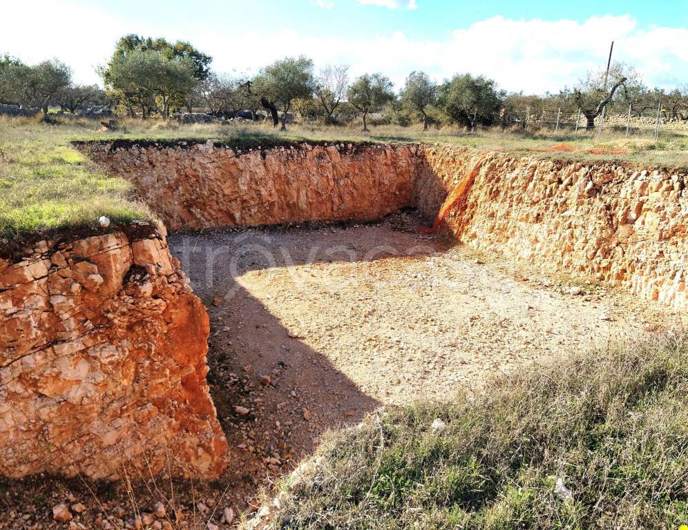 immagine annuncio 3 di 8