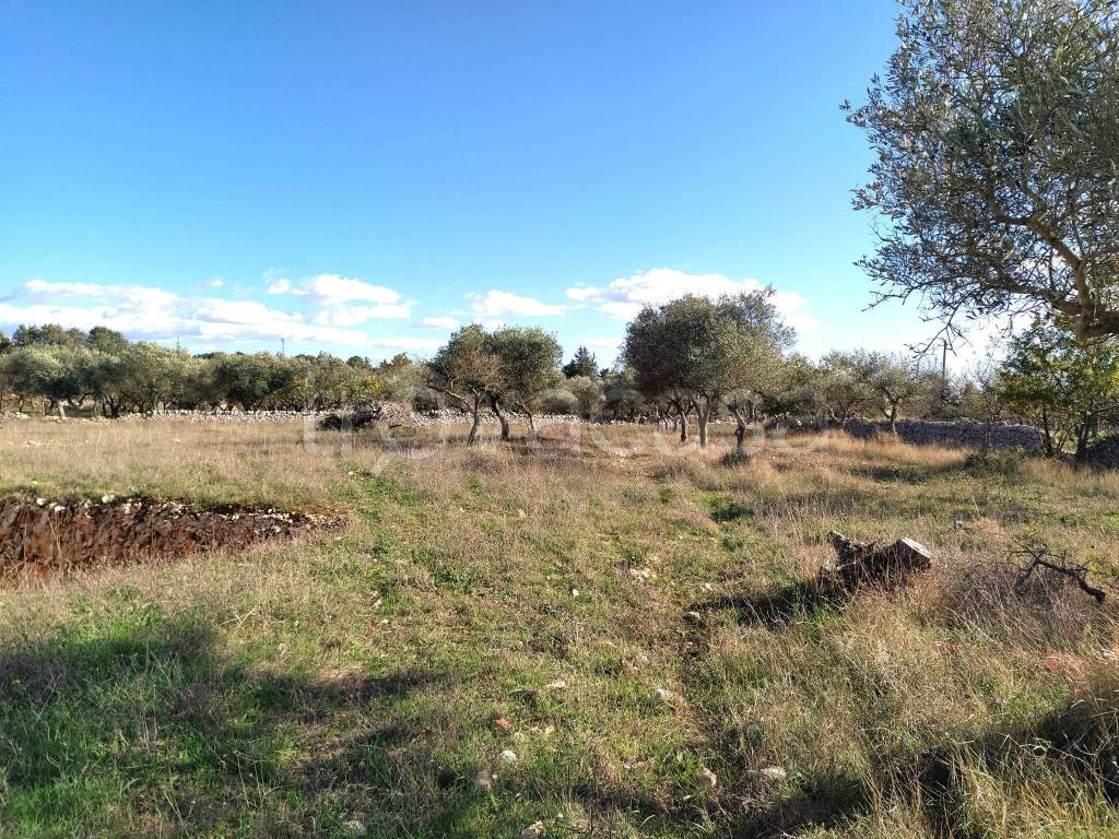 immagine annuncio 5 di 8