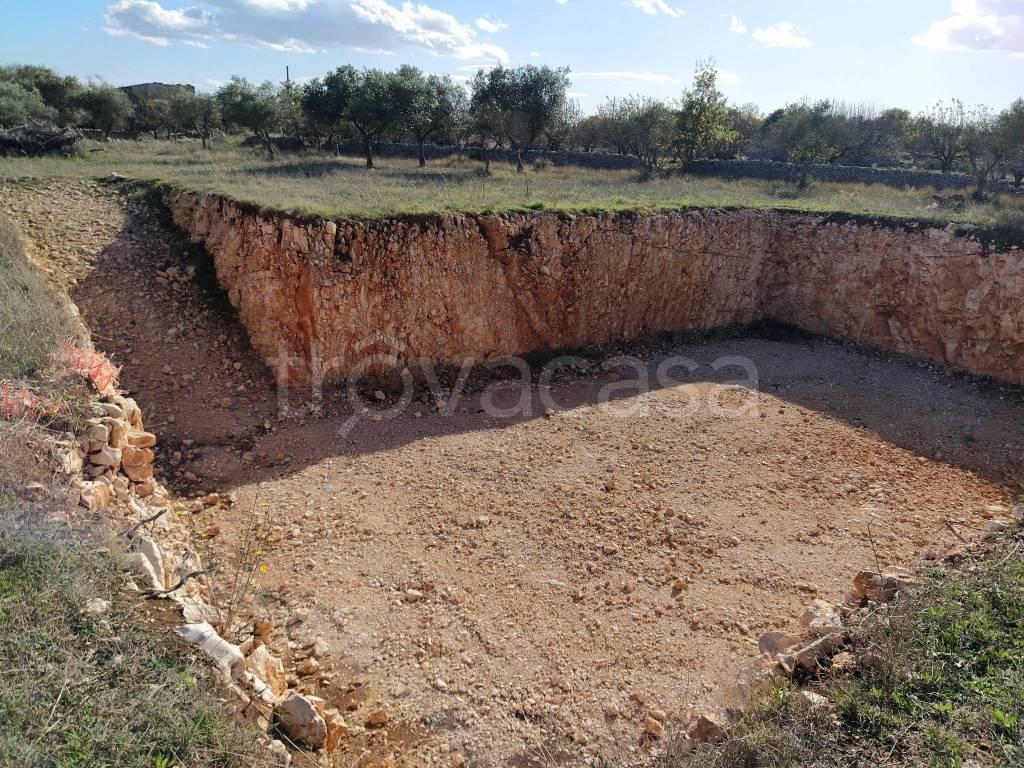 immagine annuncio 4 di 8