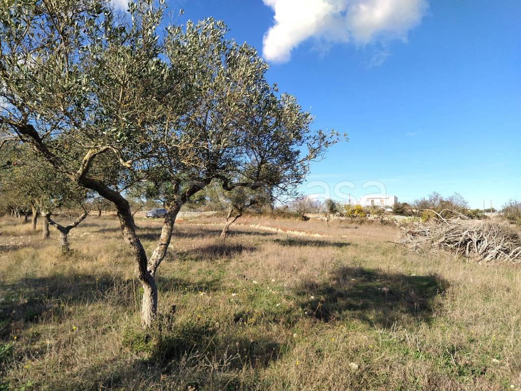 immagine annuncio 6 di 8