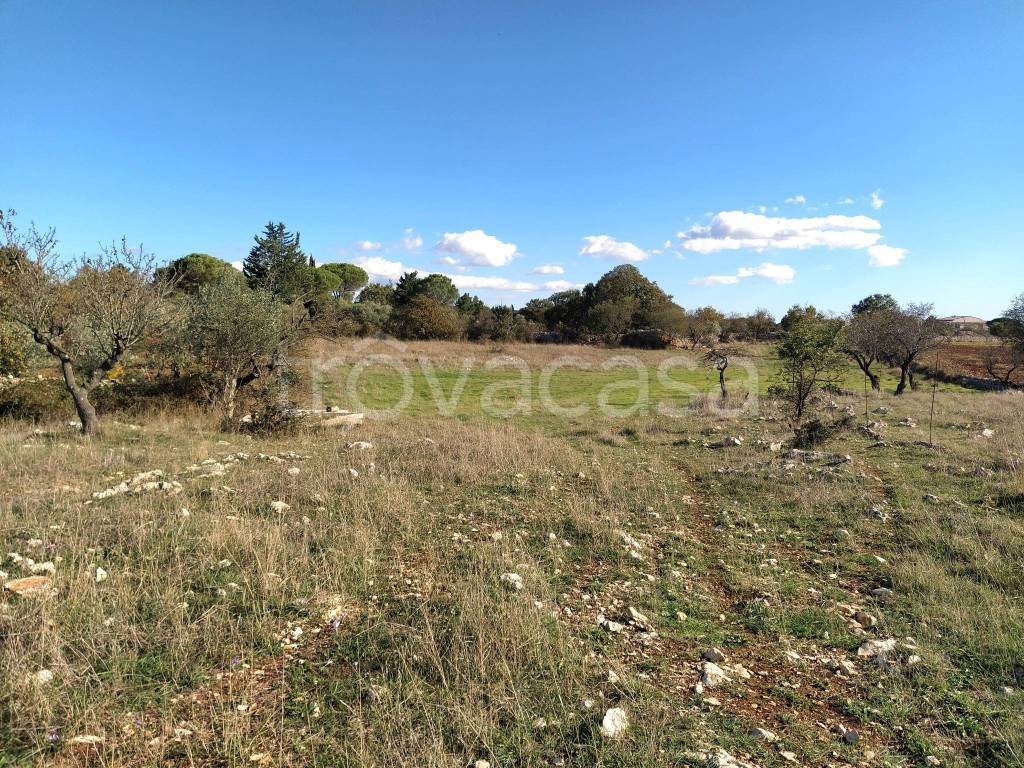 immagine annuncio 7 di 8