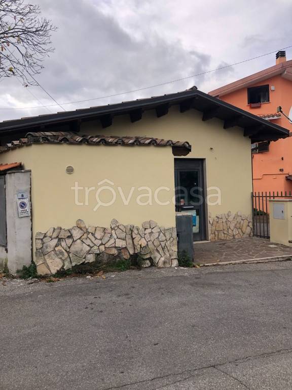 immagine annuncio 2 di 12