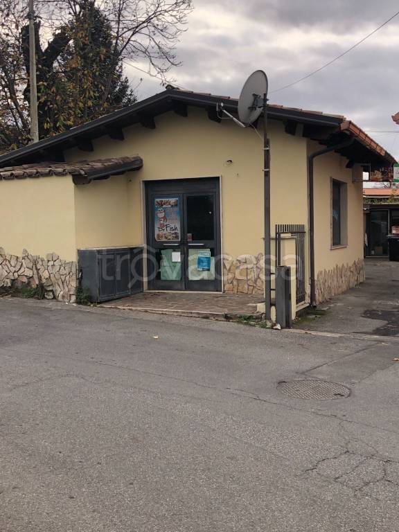 immagine annuncio 3 di 12