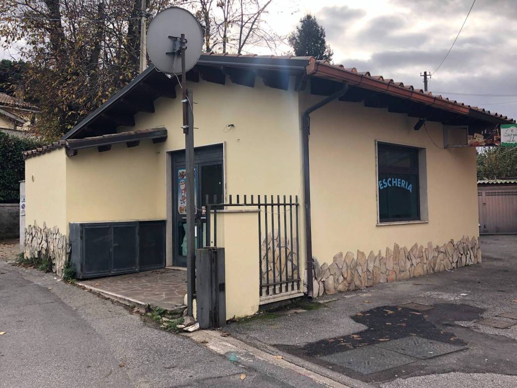 immagine annuncio 4 di 12