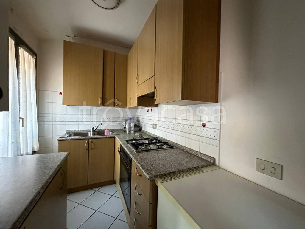 immagine annuncio 5 di 12