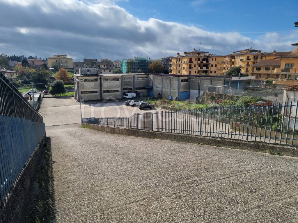 immagine annuncio 2 di 12
