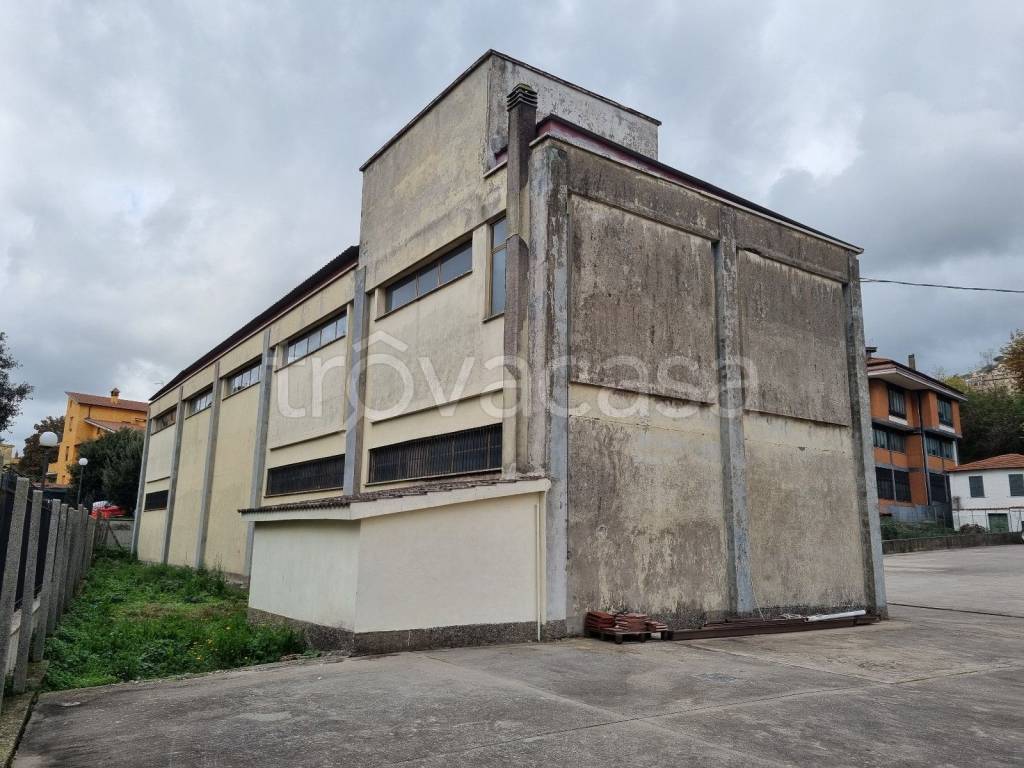 immagine annuncio 8 di 12