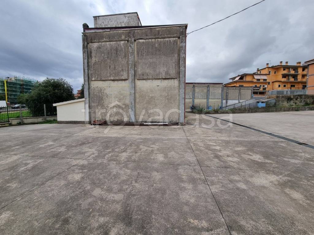 immagine annuncio 5 di 12