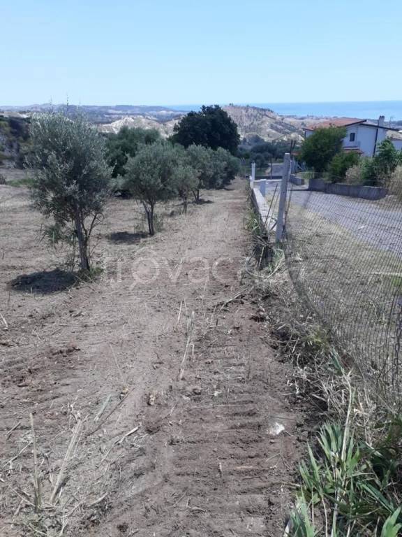 Terreno Agricolo in vendita a Roccella Ionica contrada Calcinara