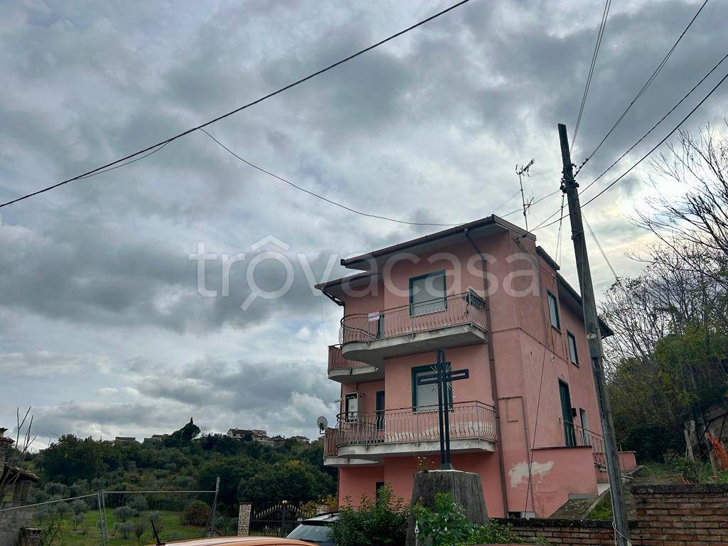 immagine annuncio 12 di 13