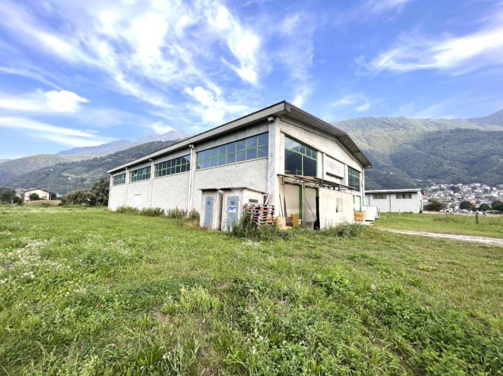 immagine annuncio 4 di 15